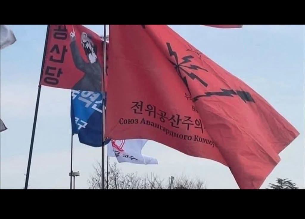 [잡담] 성조기 왜 드냐는데 팔레스타인 깃발은 왜 드냐? | 인스티즈