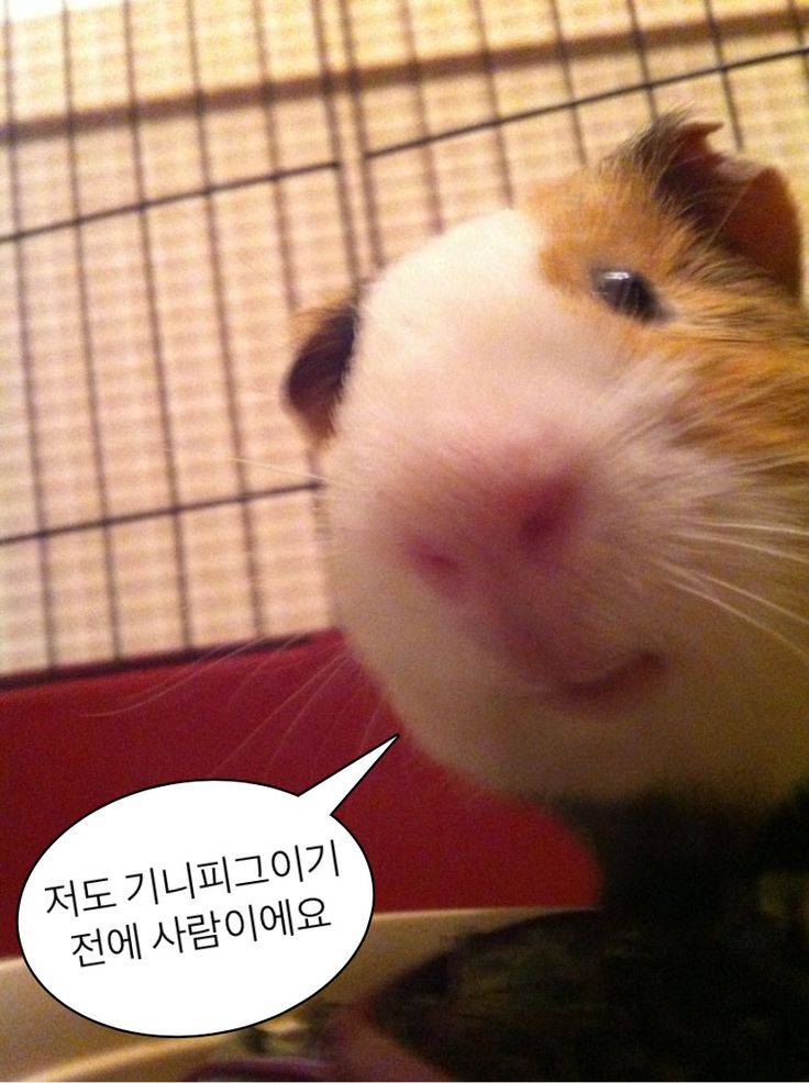 [잡담] 넷플파티장 총대 핵꿀팁 알려드림 무조건 들어와 | 인스티즈