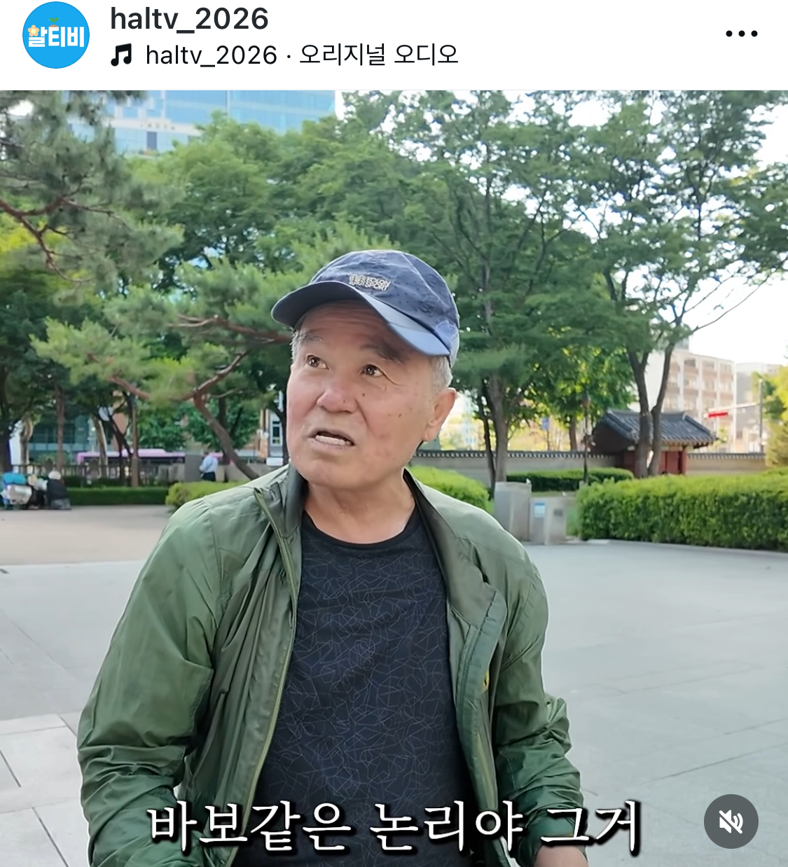 [잡담] 인스타에 사막에 바늘같은 참된 어르신 악플테러 받음ㅜㅜ | 인스티즈