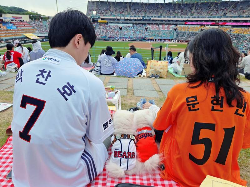 [잡담] 내려도 내려도 힐링이라는 쓱 도그데이 기사사진들 | 인스티즈