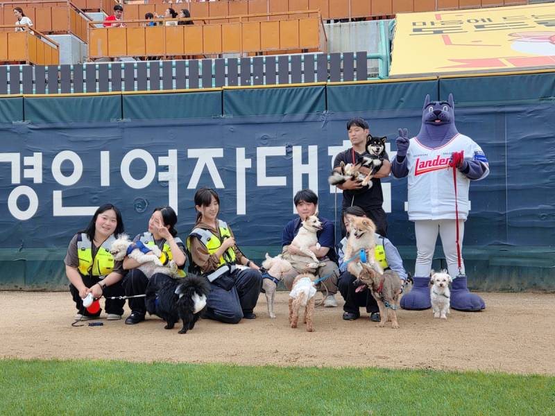 [잡담] 내려도 내려도 힐링이라는 쓱 도그데이 기사사진들 | 인스티즈
