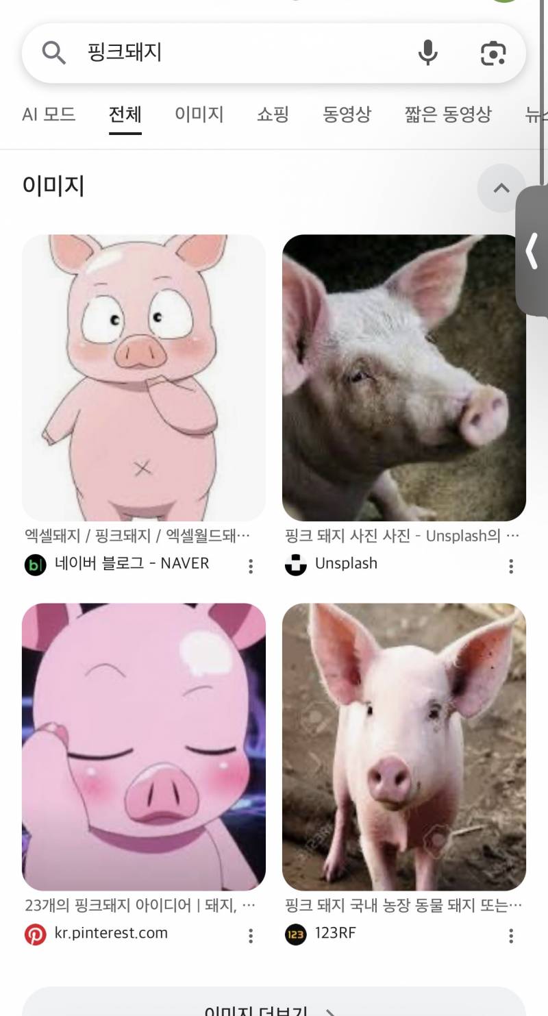 [잡담] 하얀데 통통한 사람들은 귀엽기라도 하지 검은피부는 뭔가 그래 | 인스티즈