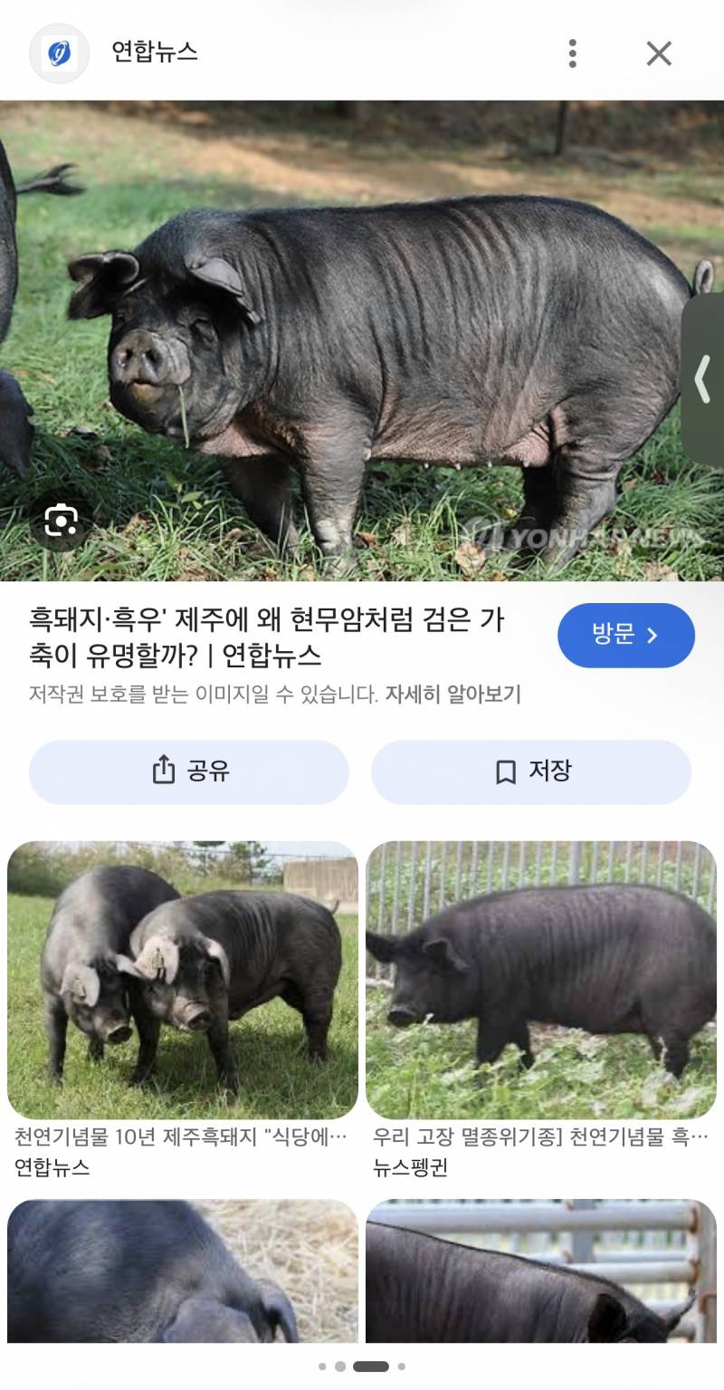 [잡담] 하얀데 통통한 사람들은 귀엽기라도 하지 검은피부는 뭔가 그래 | 인스티즈