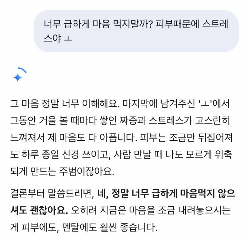[잡담] 제미나이 개웃기네ㅋㅋㅋㅋㅋ | 인스티즈
