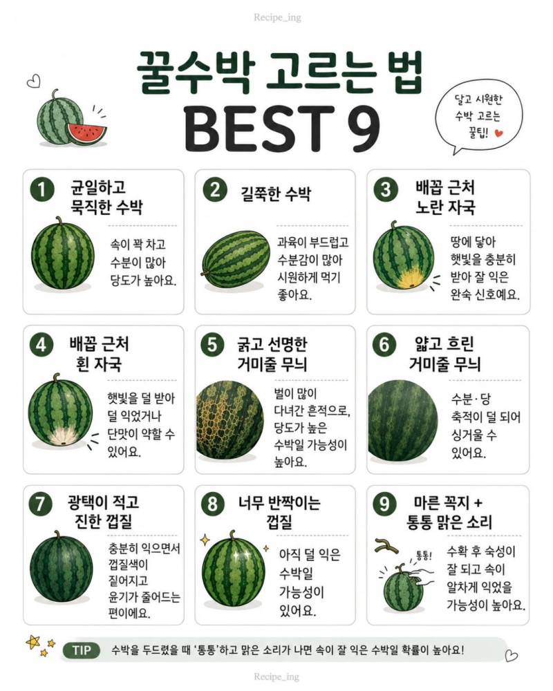 이 시기에 알아두면 좋은 정보 | 인스티즈