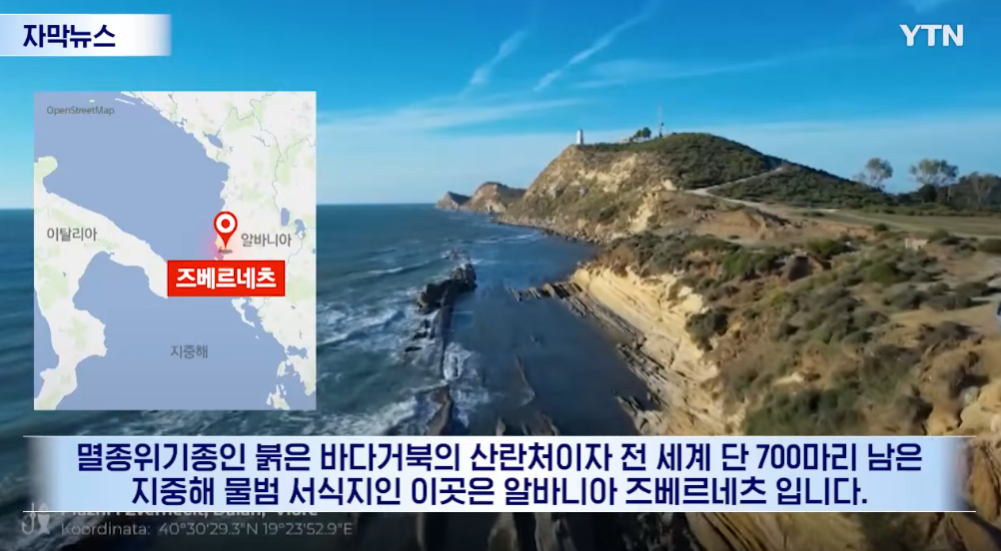 [잡담] 트럼프 일가는 가족들이 돌아가면서 남의나라까지 분란일으키고 다니네..ㄷㄷ | 인스티즈
