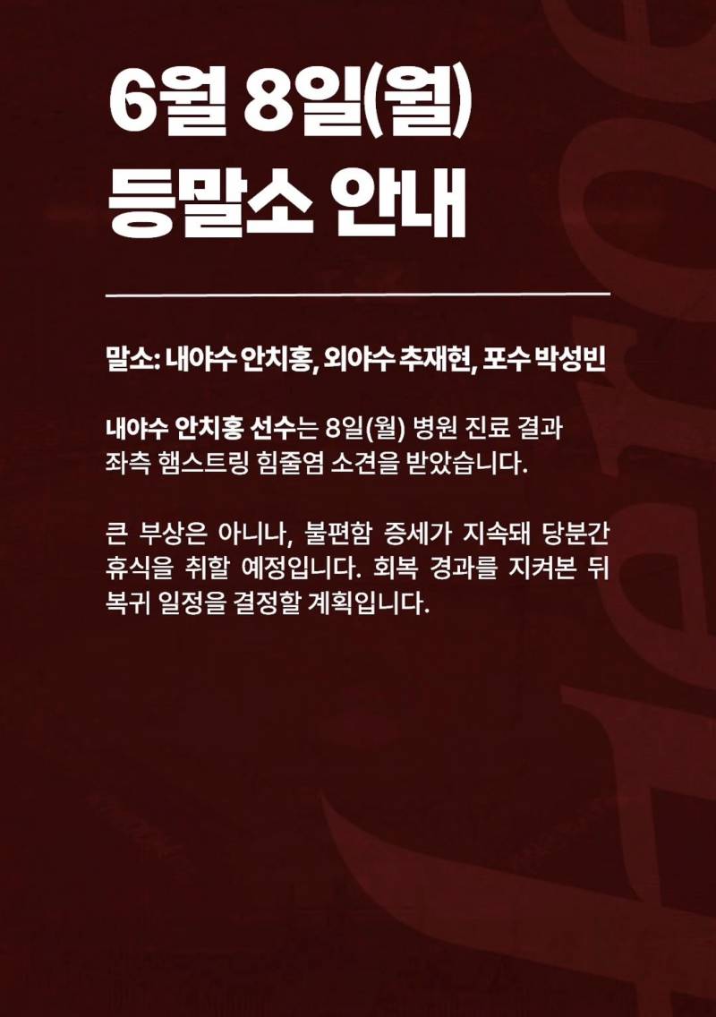 [잡담] 안춍 메디컬리포트(햄스,,,) | 인스티즈