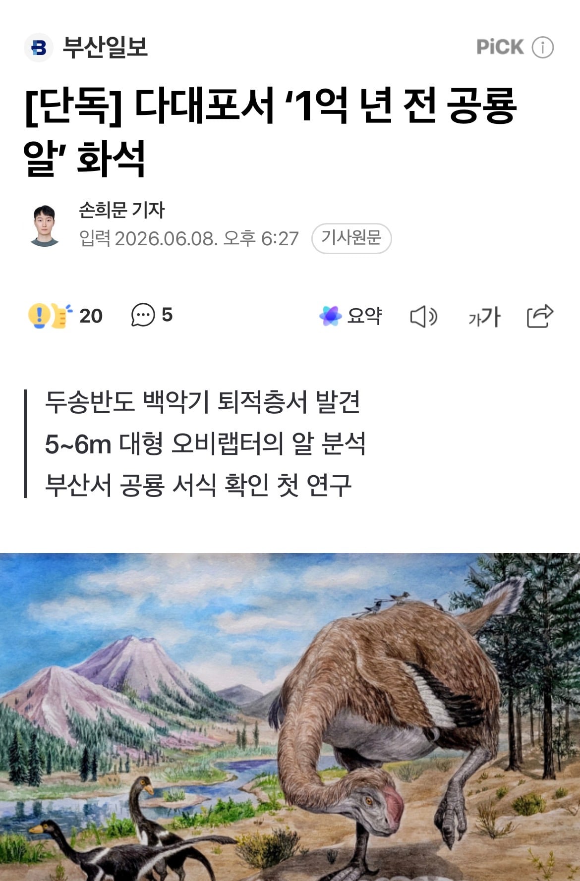 [잡담] 둘리가 부산출신이었다고? | 인스티즈