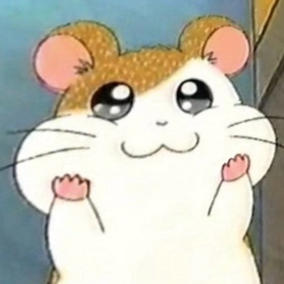 [잡담] 리쿠 어떻게 이렇게 귀엽지.. | 인스티즈