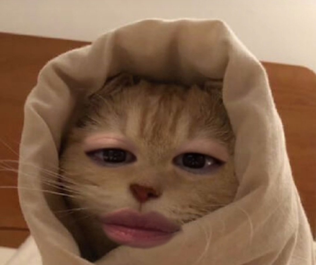 [잡담] 이제훈) 인스타 라이브하다 고양이 필터 잘못 누른 이제훈 | 인스티즈