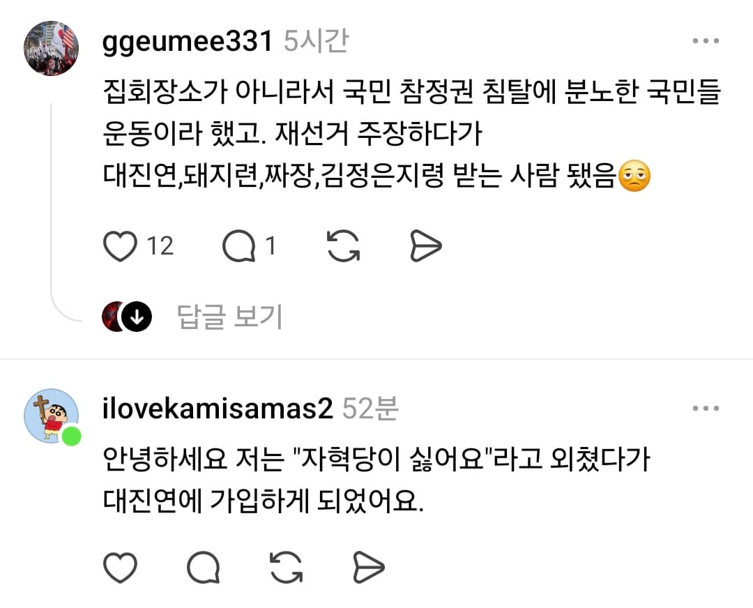 [잡담] 극우들은 대진연을 얼마나 대단한 단체로 생각하는걸까? | 인스티즈