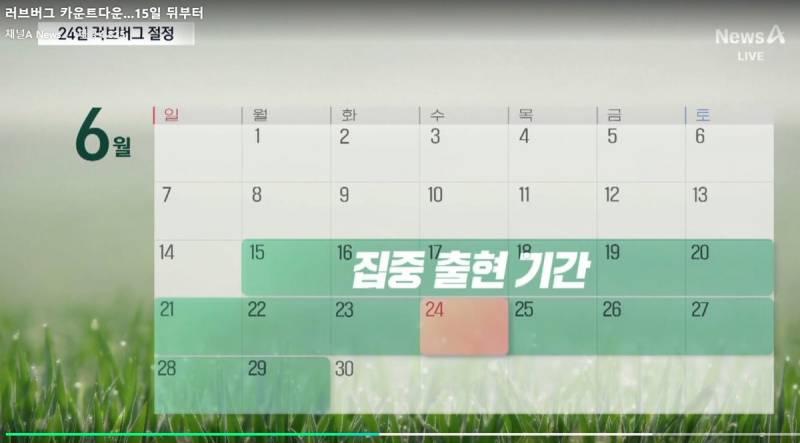 [잡담] 또 그들이 옴 | 인스티즈