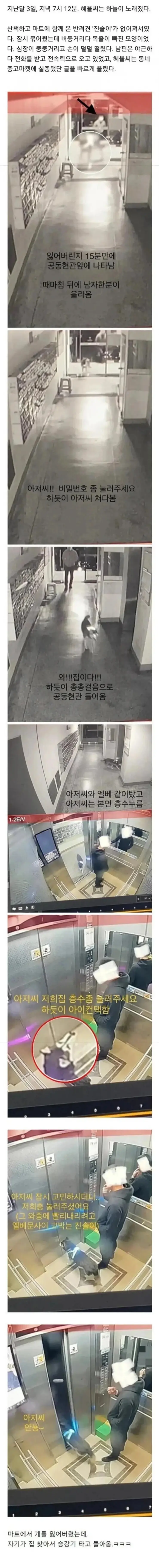 마트에서 반려견을 잃어버림 | 인스티즈