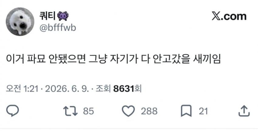 [마플] ㅂㄱㅇ 폴라 피해자분 폭로하게 된 원인 이거일듯 | 인스티즈