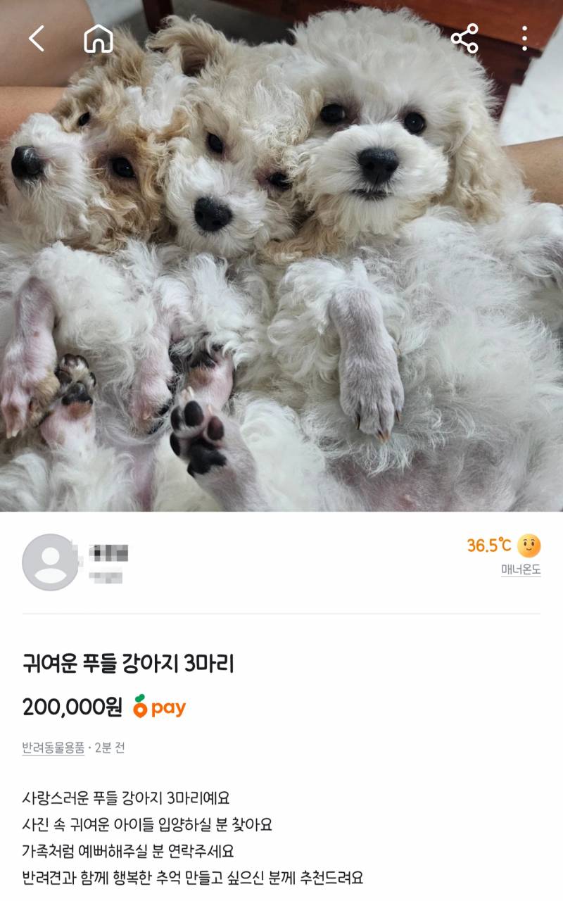 [잡담] 와 우리 동네 당근 미쳤나봐 | 인스티즈