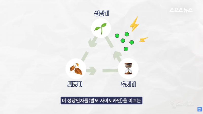 30년동안 여성의 탈모를 연구한 탈모 시장 '대모님' | 인스티즈
