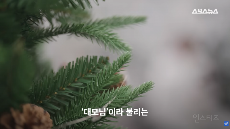 30년동안 여성의 탈모를 연구한 탈모 시장 '대모님' | 인스티즈