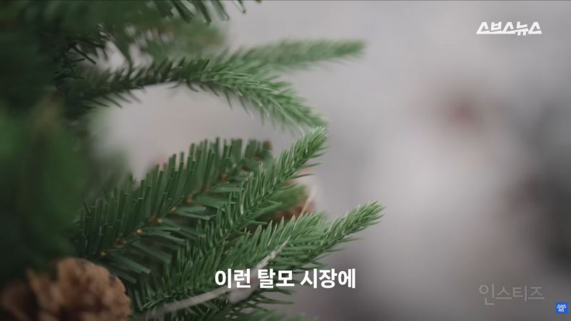 30년동안 여성의 탈모를 연구한 탈모 시장 '대모님' | 인스티즈