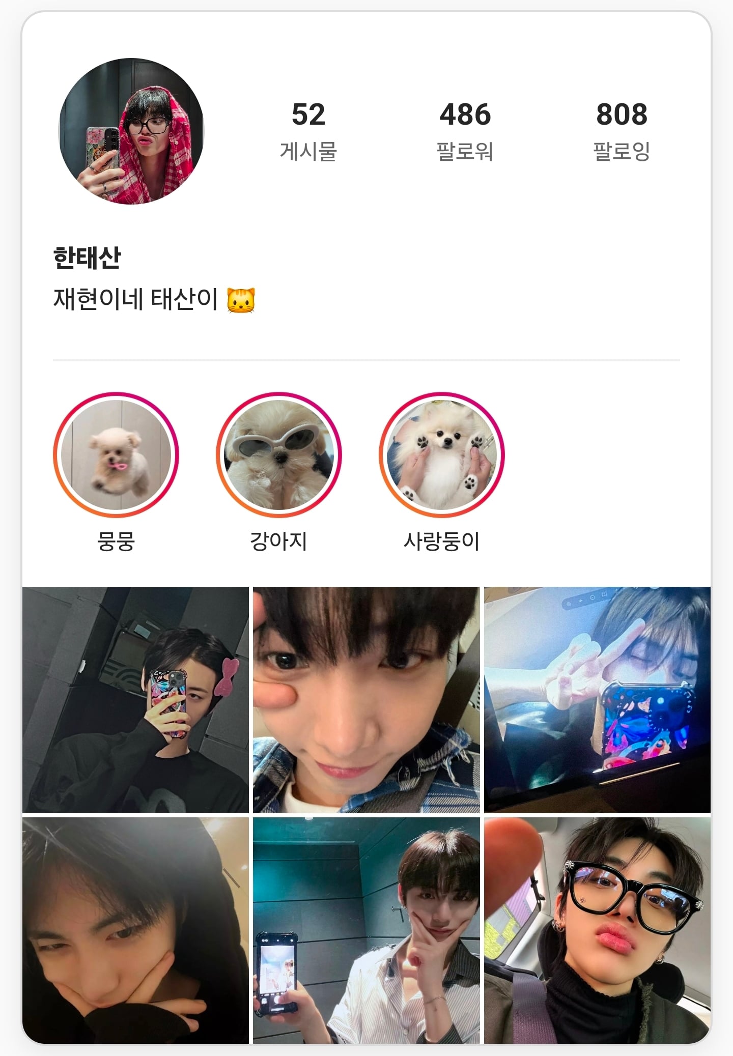 🐱 | 인스티즈
