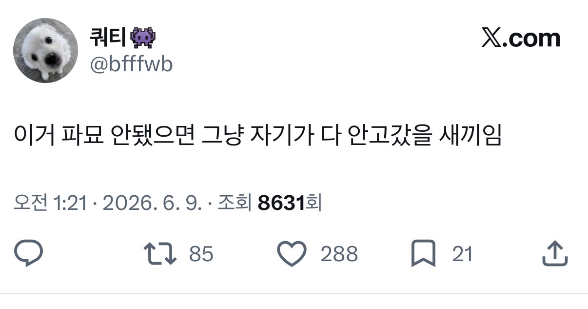[마플] 아 샤갈 인티플 보자마자 트위터 갔는데 ㅂㄱㅇ팬이 추천탭에뜸 | 인스티즈