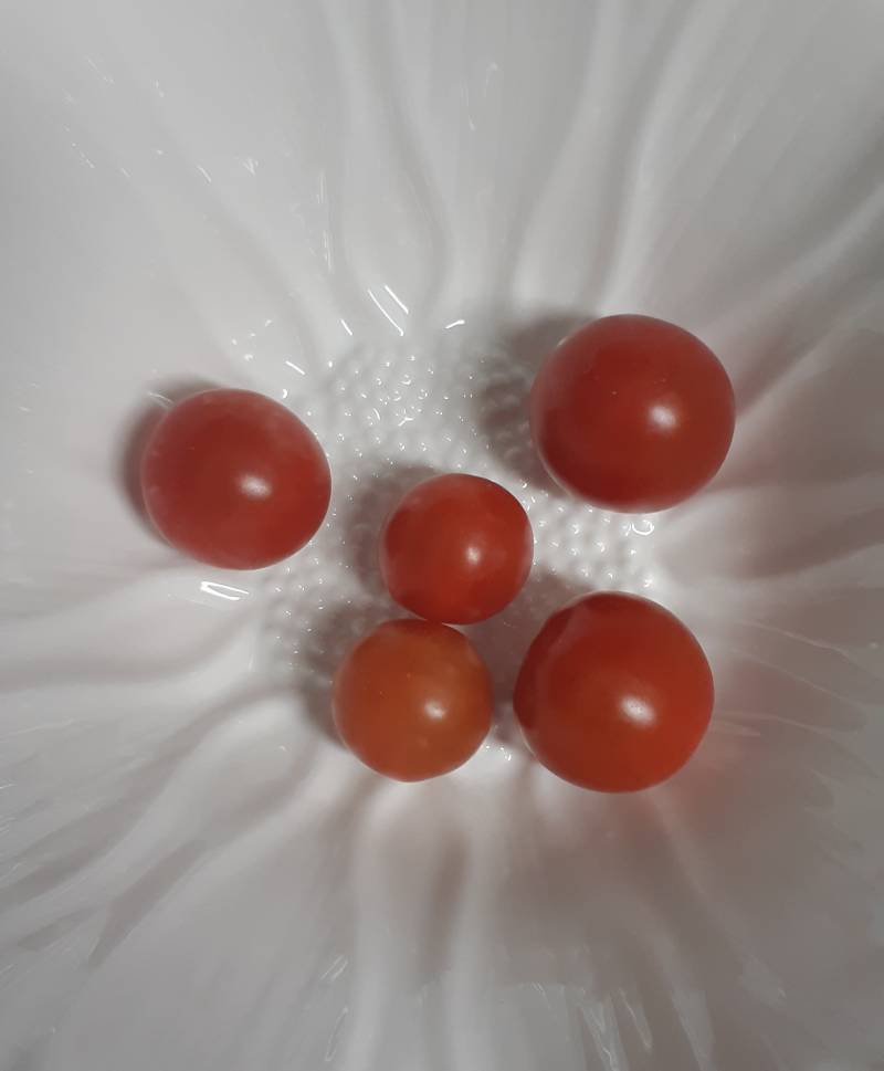 [잡담] 키우던 대추방토 첫 수확🍅 | 인스티즈