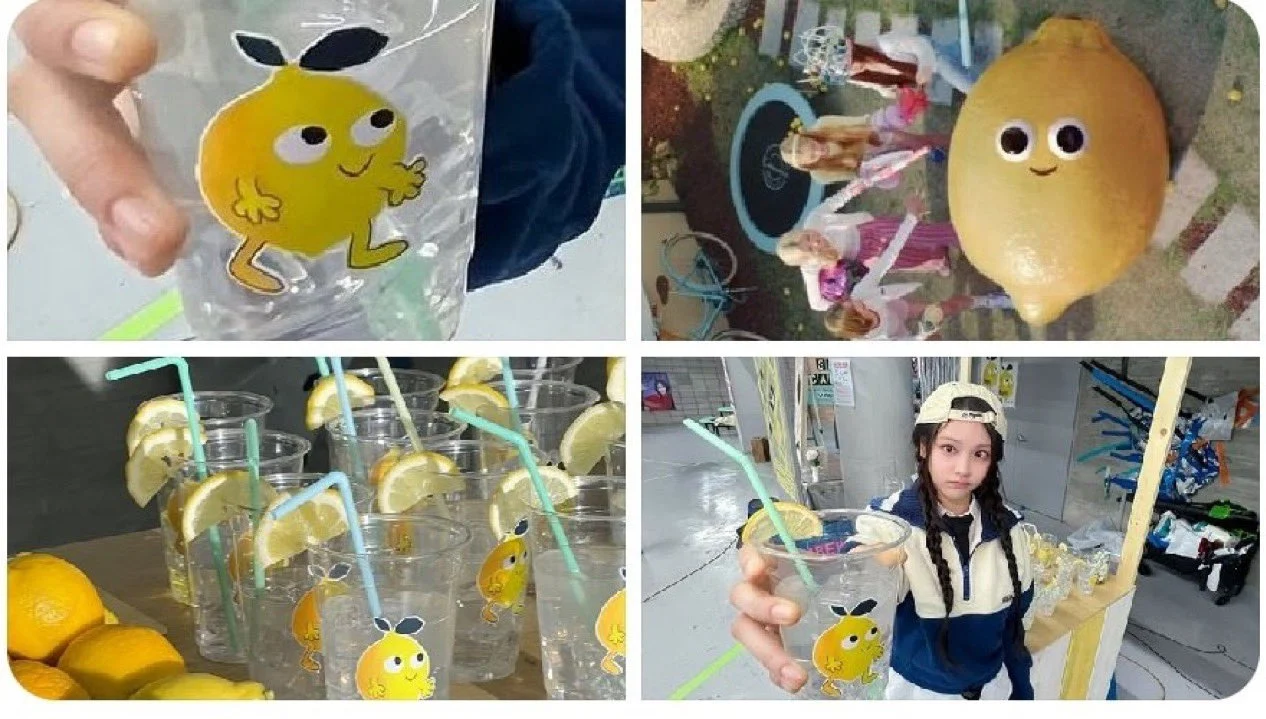 [잡담] 이미 하투하가 먼저한거 + 직속선배돌이 먼저한건데 | 인스티즈