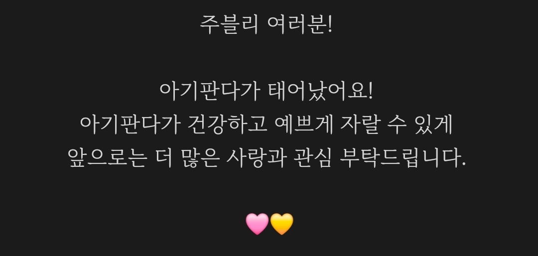 [잡담] 얘들아 아이바오 아기 낳았다!!!! | 인스티즈