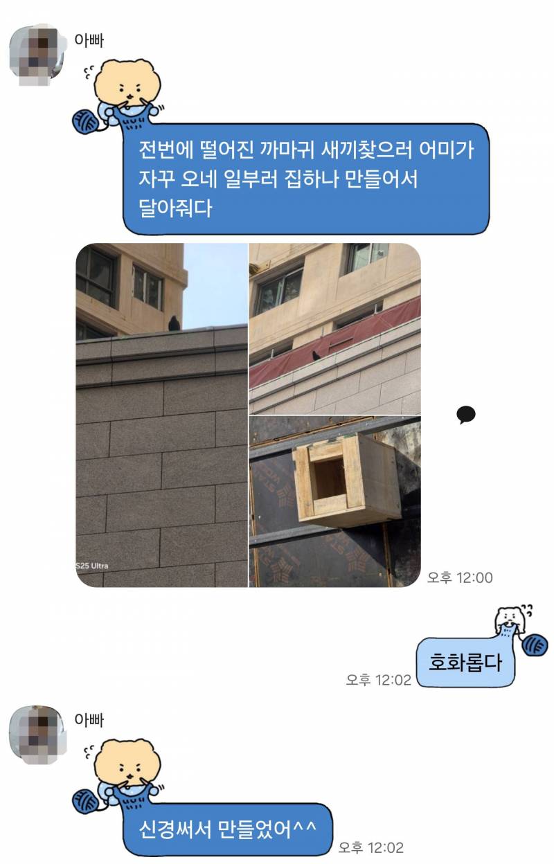 [잡담] 울아빠 귀여워 일하면서 까마귀집도 만들어줌 ㅋㅋㅋㅋ | 인스티즈