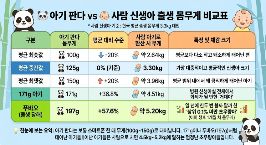 [잡담] 판다 출생 무게 인간으로 환산한거 봄? | 인스티즈