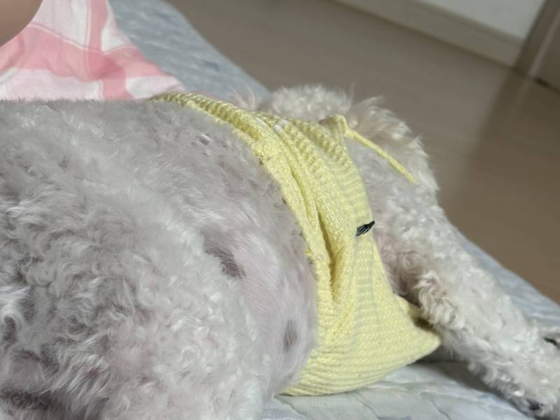 [잡담] 휴가내고 본가에 잇는데 겁내 여유롭다 | 인스티즈