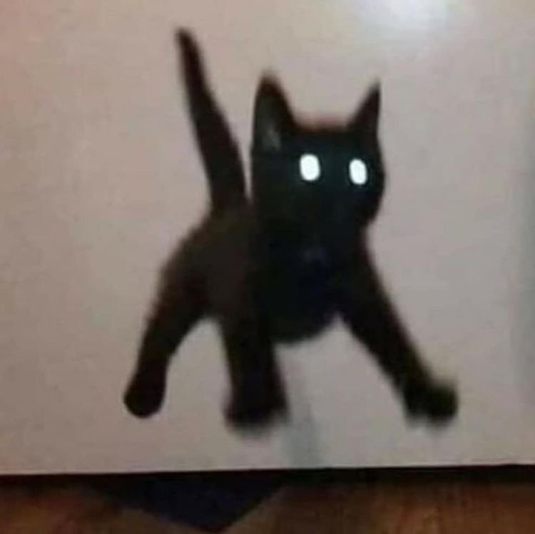 [잡담] 도훈이 어제 자컨 깜고 그 자체 🐈‍⬛ | 인스티즈