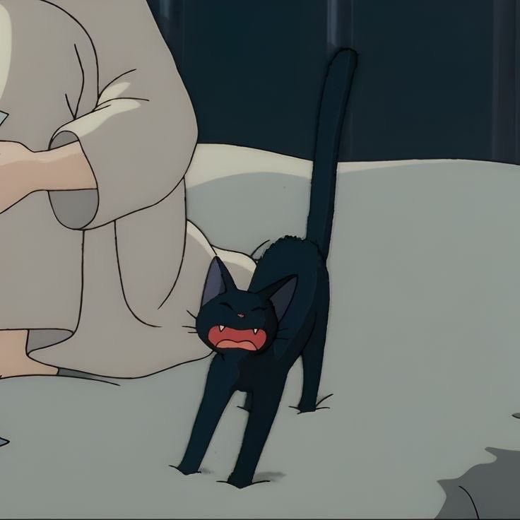 [잡담] 도훈이 어제 자컨 깜고 그 자체 🐈‍⬛ | 인스티즈