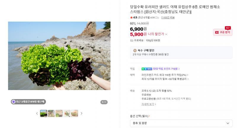 [잡담] 유러피안 샐러드 골라담기 핫딜 공유해바 5,900원 | 인스티즈