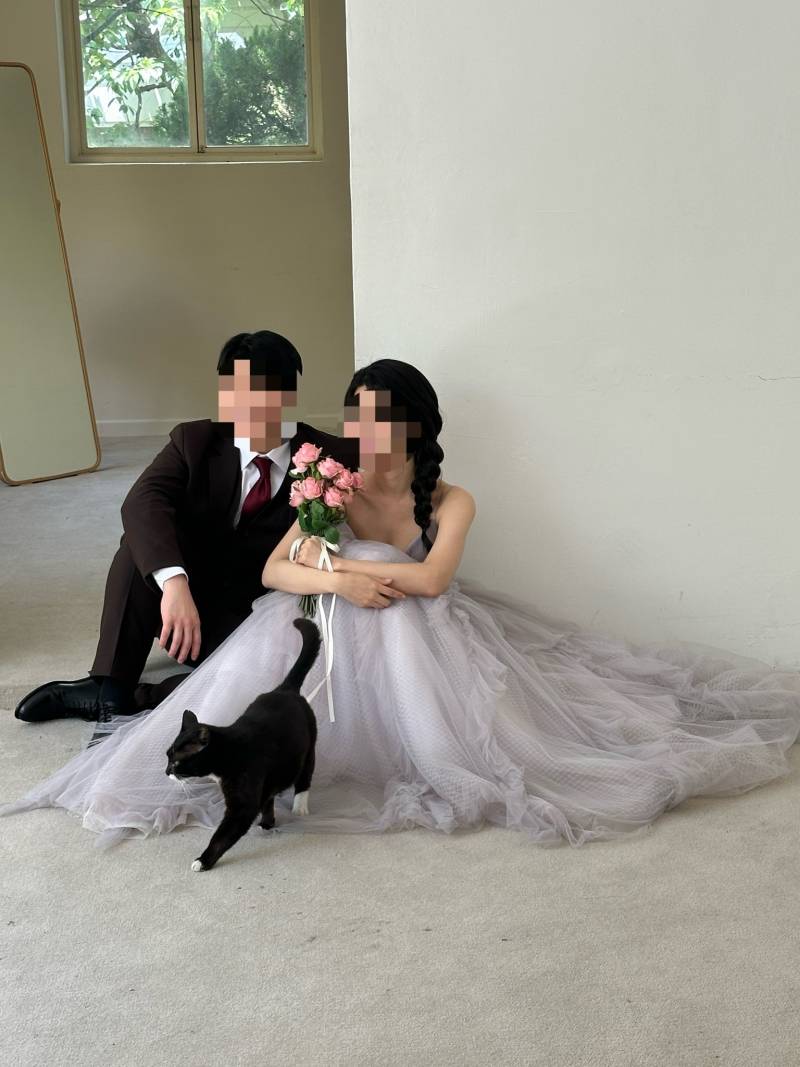 [잡담] 웨딩촬영했는데 소품으로 고양이 있었어 | 인스티즈