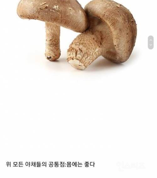 호불호 심하게 갈린다는 야채들의 등급 | 인스티즈