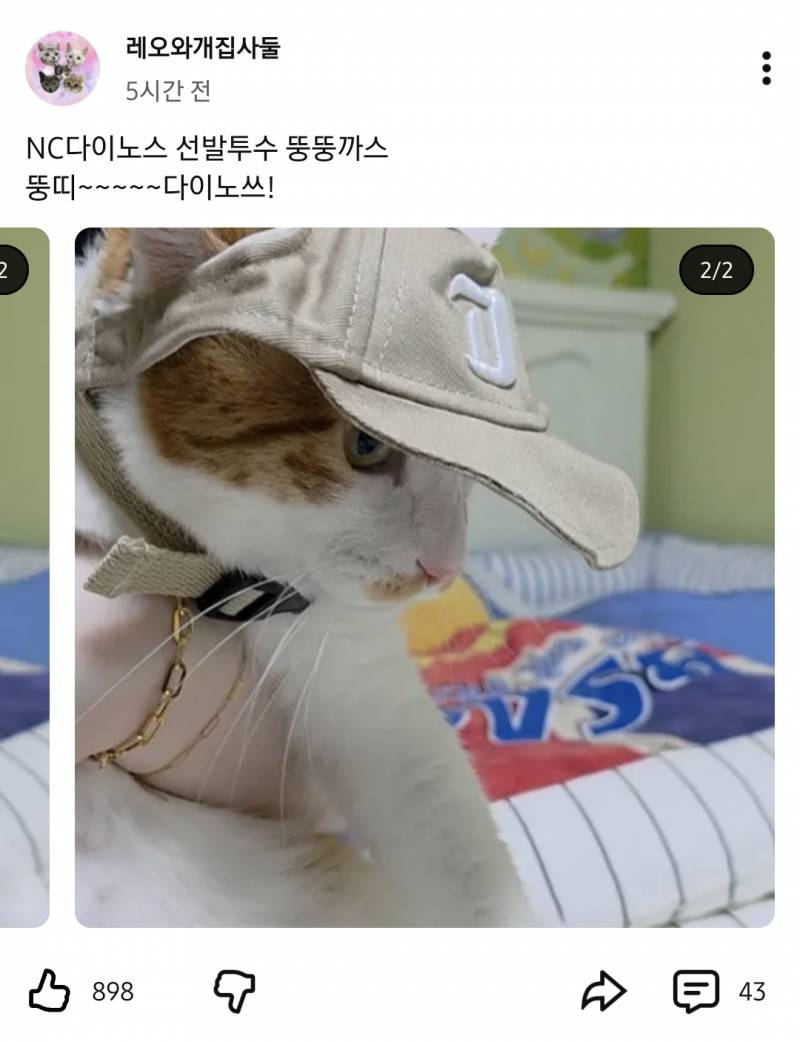 [잡담] 다노네 치사해 뚱뚱까스 선발 있었으면서 얘기도 안해준거야? | 인스티즈