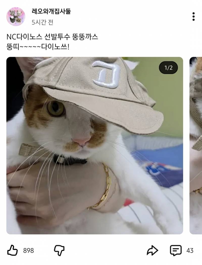 [잡담] 다노네 치사해 뚱뚱까스 선발 있었으면서 얘기도 안해준거야? | 인스티즈