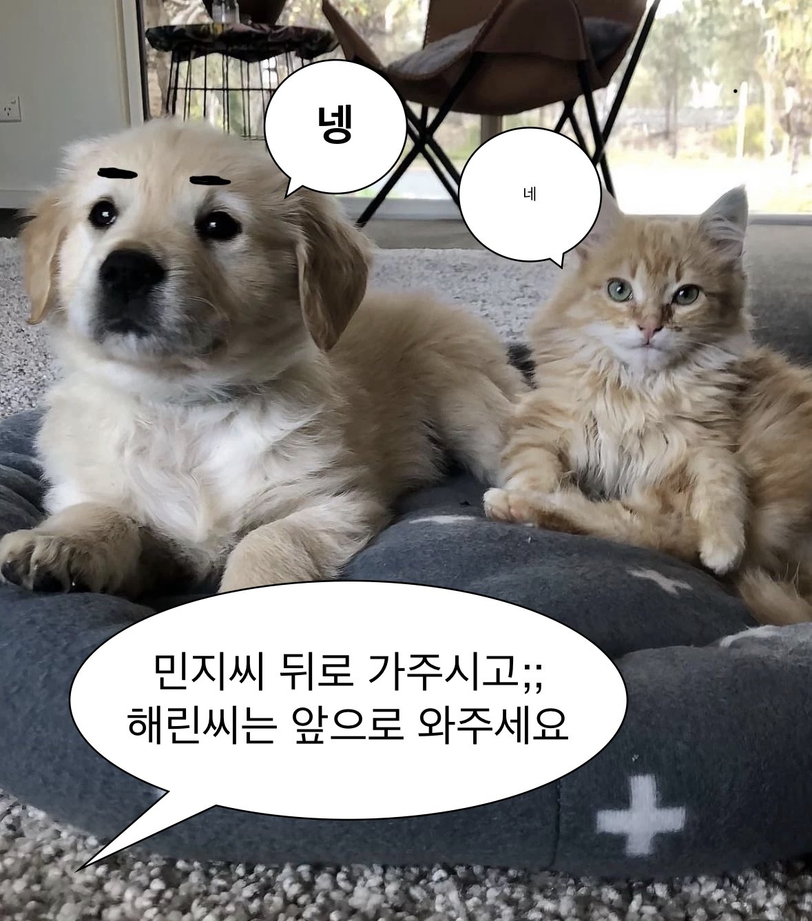 [잡담] 아 이거 뉴진스 비하인드 일화인데 귀엽네 | 인스티즈