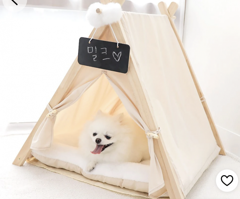 [잡담] 침대 밑 좋아하는 강아지 키우는 익 ! | 인스티즈