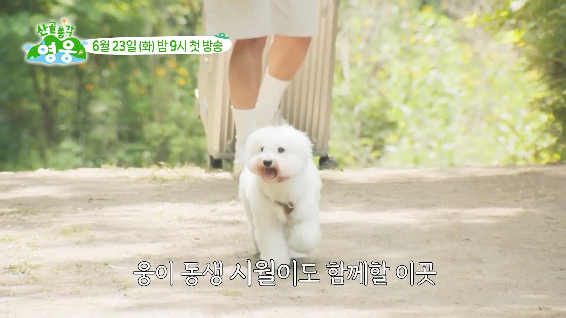 [잡담] 깊은 산 속 임영웅&시월이네 집으로 놀러오세요 [산골총각영웅 1차 티저] | 인스티즈