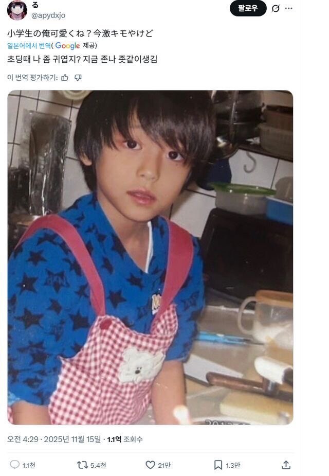 [잡담] 일본에서 화제됐던 트윗이래 | 인스티즈