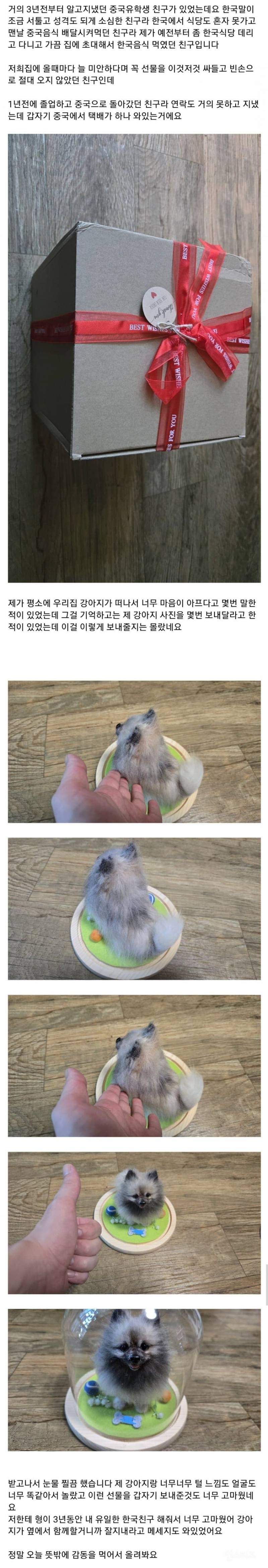 죽은 강아지 사진을 보내달라한 중국인 친구 | 인스티즈