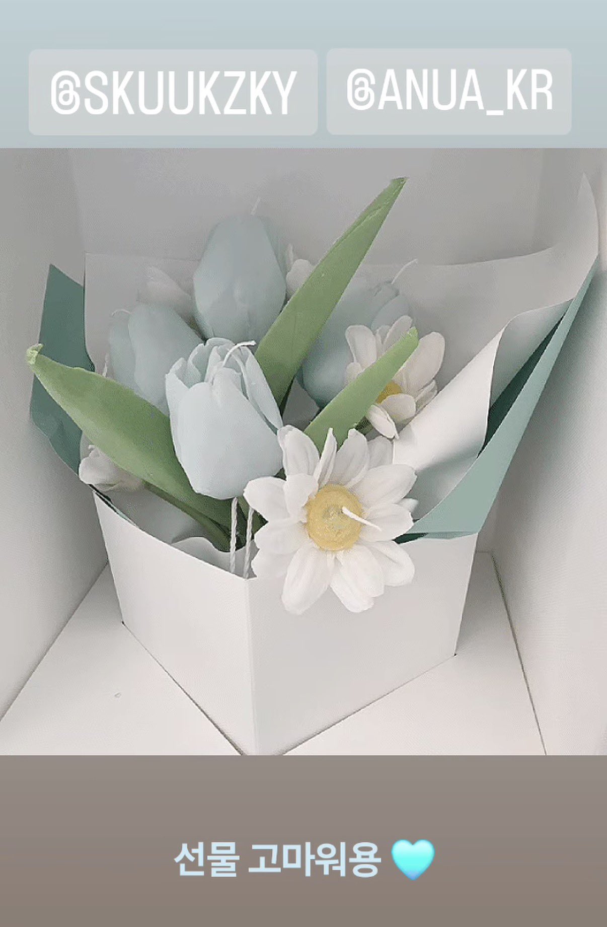 [잡담] 수지) 오늘자 수지 인스스 업뎃 | 인스티즈