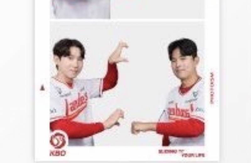 [잡담] 이거 찍는 고동이는 손이 세개인거야? | 인스티즈