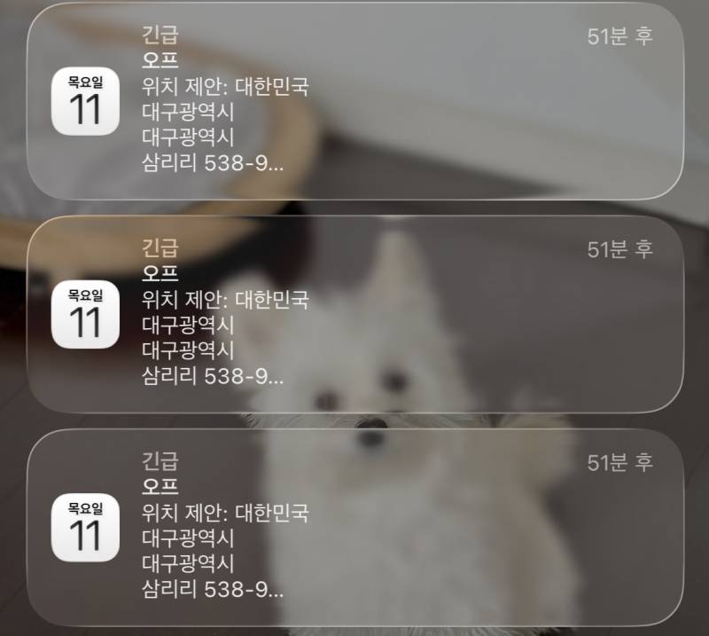 [잡담] 아이폰 캘린더 이거 뭐야? | 인스티즈