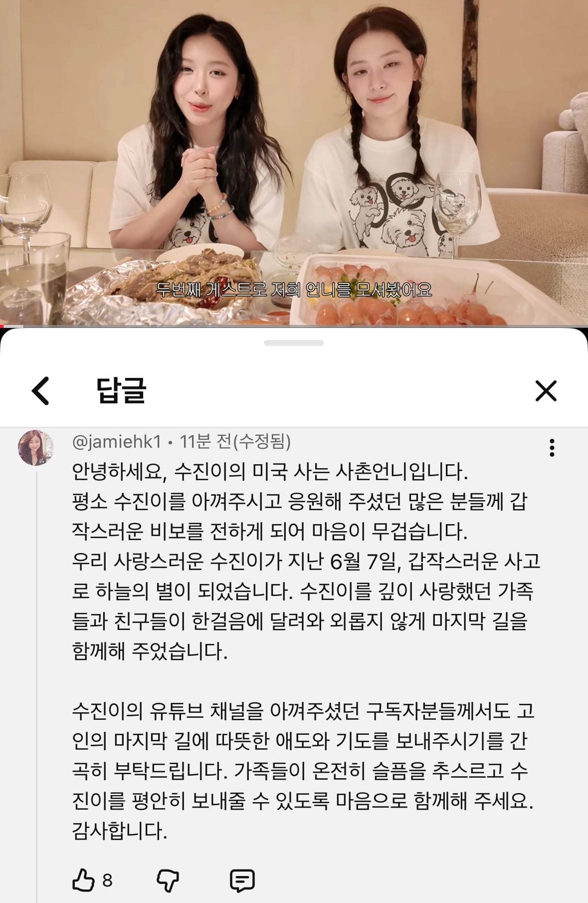 [정보/소식] 레드벨벳 슬기 사촌이자 유튜버 수키진 부고 | 인스티즈