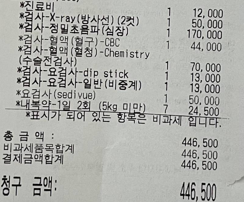 [잡담] 반려동물 키우는 익들.. 건강검진 비용 비싸게 주고 한거야?ㅠㅠ | 인스티즈