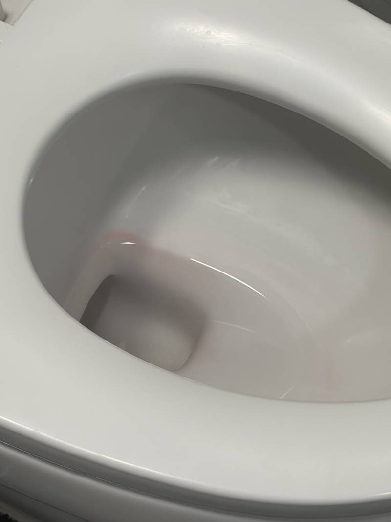 [잡담] 얘들아 이거 변기에 있는 거 머야….???? | 인스티즈