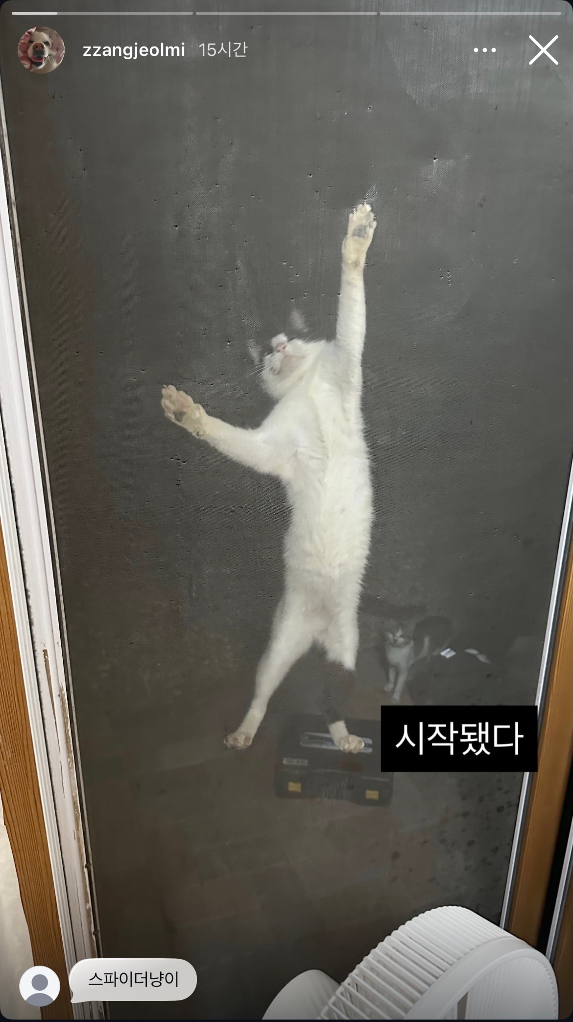 [잡담] 또 시작된 절미언니네 방충망 상황...jpg | 인스티즈