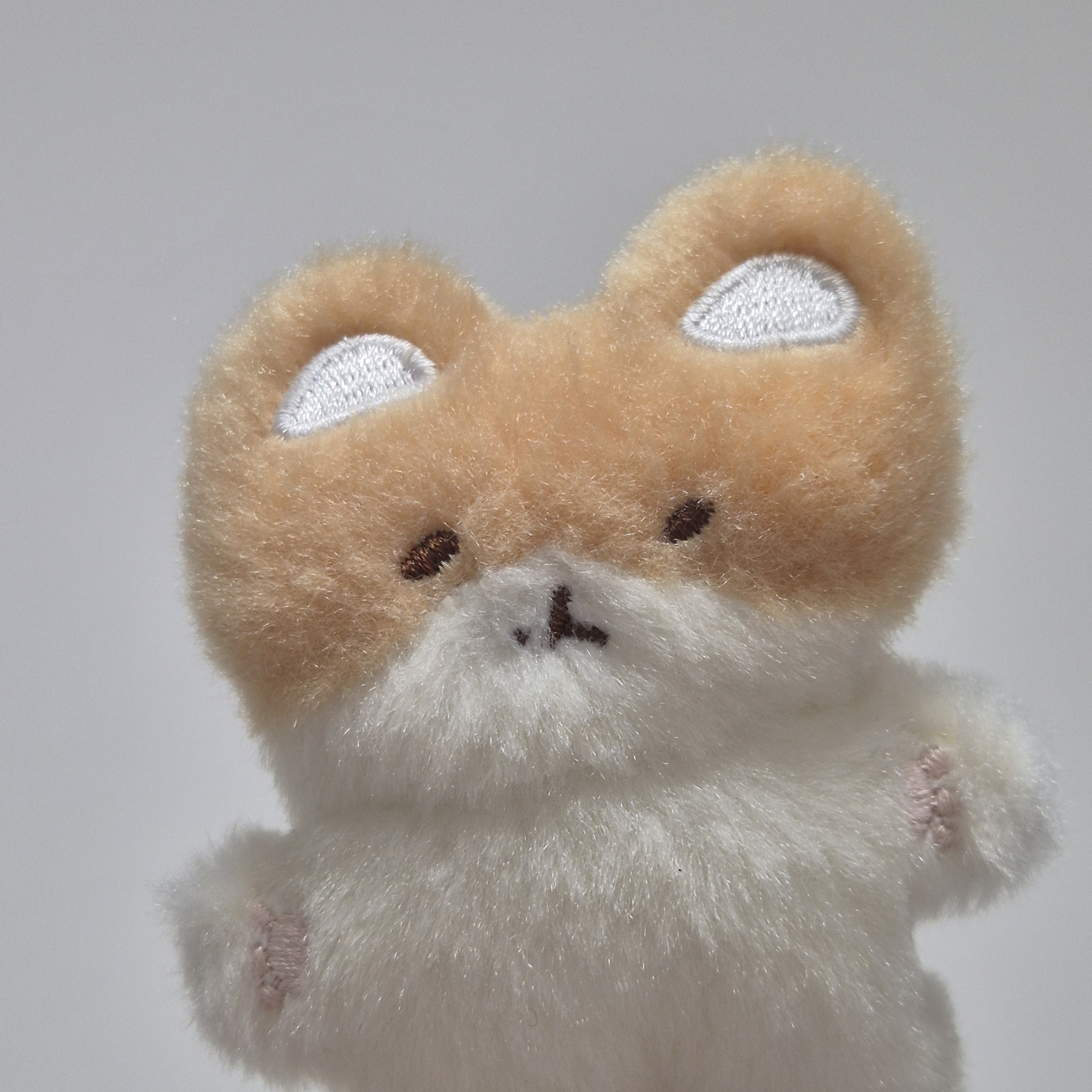 [잡담] 본진 인형 진짜 귀여워서 자랑하고 싶음 ⸝⸝ʚ̴̶̷̆ ̯ʚ̴̶̷̆⸝⸝ | 인스티즈